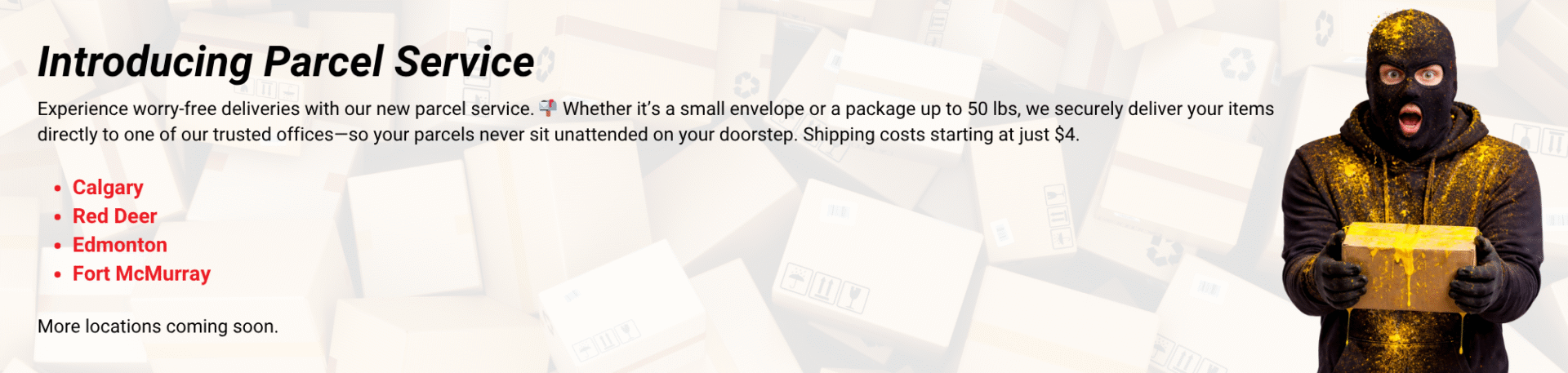 Website Passenger Notifications (38)