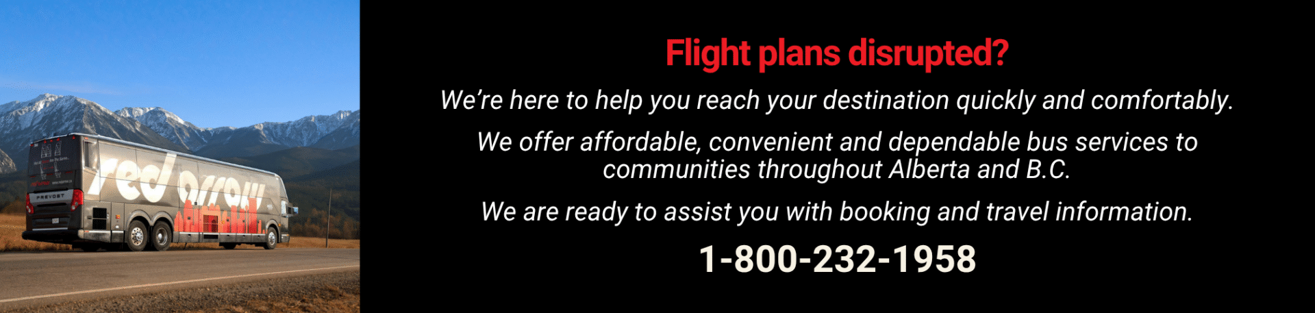 Website Passenger Notifications